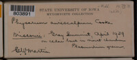 Image Associated With the Occurence